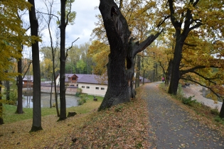 5 Hráz Podleského rybníka s chráněnými duby a rekonstruovaným mlýnem